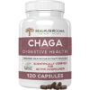 Chaga - Digestive Health - OUT OF STOCK