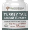 Turkey Tail - Immune Support - 500 mg